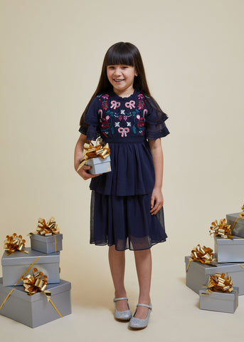 frock & frill Alvie Navy Christmas Embroidered Dress