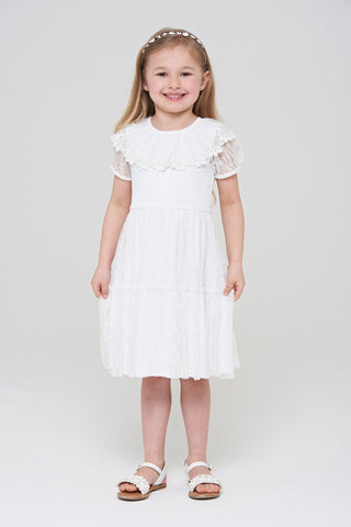frock & frill Amabella Lace Dress with Frill Collar