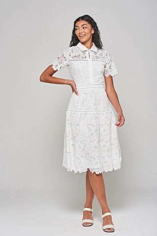 frock & frill Kalina White Lace Shirt Dress