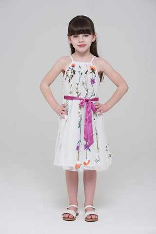 frock & frill Posy Floral Embroidered Dress