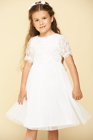 Frock & Frill Reese Sequin And Lace Dress