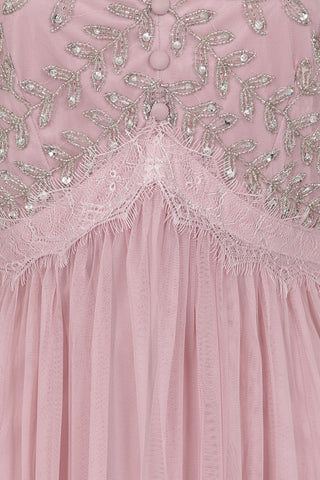 Frock & Frill Ruth Violet Blush Embellished Bodice Midi Dress