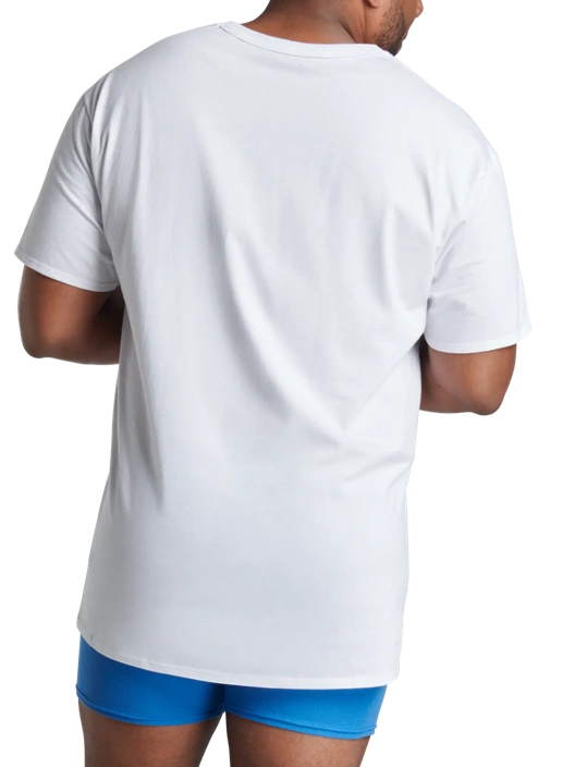 Fruit Of The Loom Tall Men's Short Sleeve V-neck T-Shirt White 6 Pack