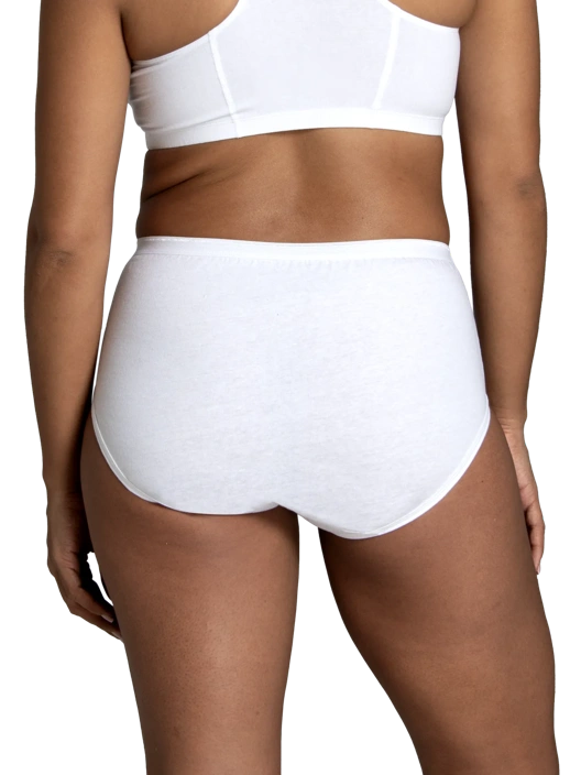 Fruit Of The Loom Women's Cotton Brief Panty Assorted 12 Pack