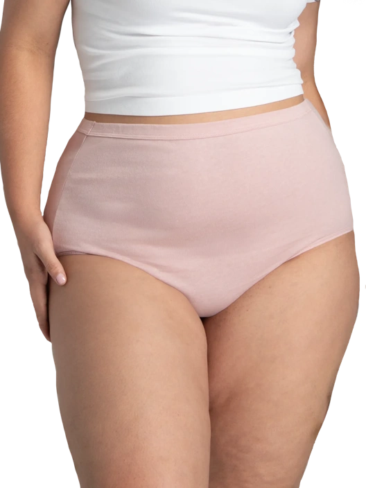 Fruit Of The Loom Women's Fit For Me Cotton Brief Panty Assorted 6 Pack