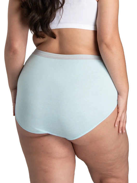 Fruit Of The Loom Women's Fit For Me Heather Brief Panty Assorted 6 Pack