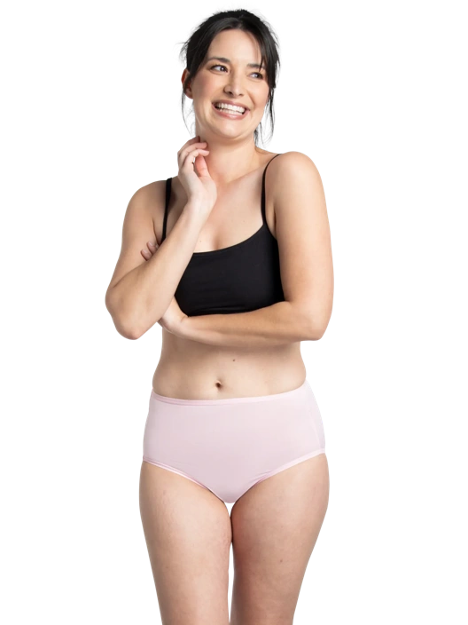 Fruit Of The Loom Women's Microfiber Brief Panty Assorted 12 Pack