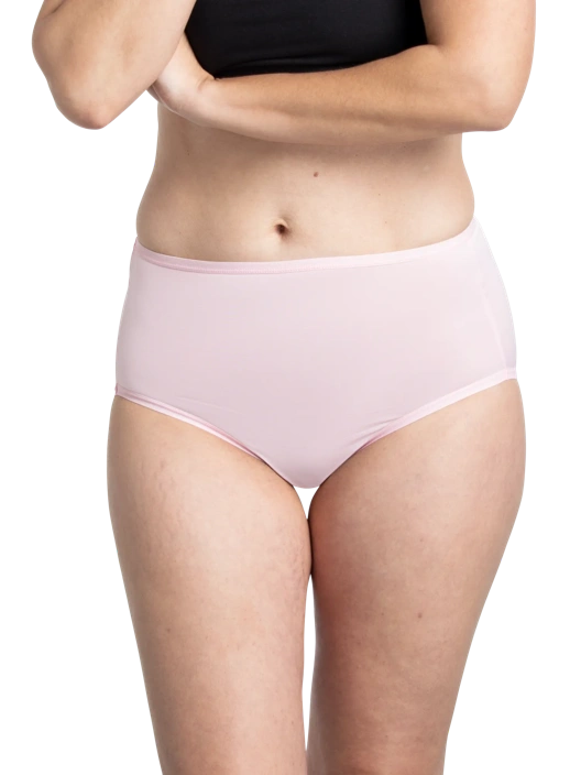 Fruit Of The Loom Women's Microfiber Brief Panty Assorted 12 Pack