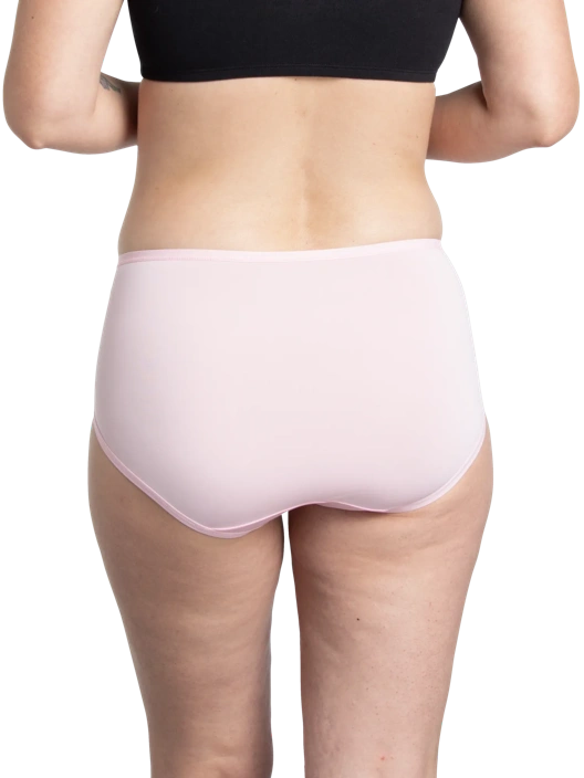 Fruit Of The Loom Women's Microfiber Brief Panty Assorted 12 Pack