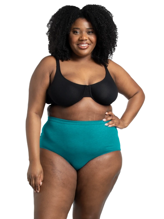 Fruit Of The Loom Women's Plus Fit For Me® Beyondsoft® Brief Panty Assorted 10 Pack