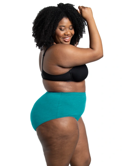 Fruit Of The Loom Women's Plus Fit For Me® Beyondsoft® Brief Panty Assorted 10 Pack