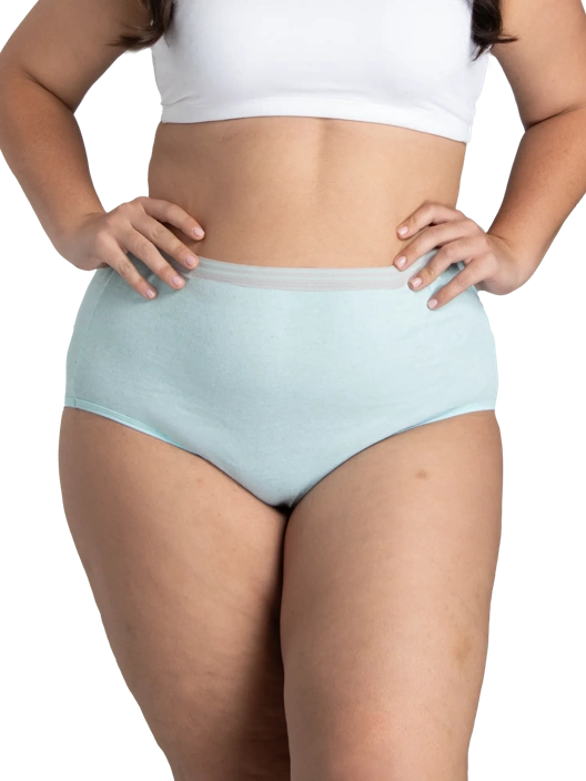 Fruit Of The Loom Women's Plus Fit For Me® Heather Brief Panty Assorted 10 Pack