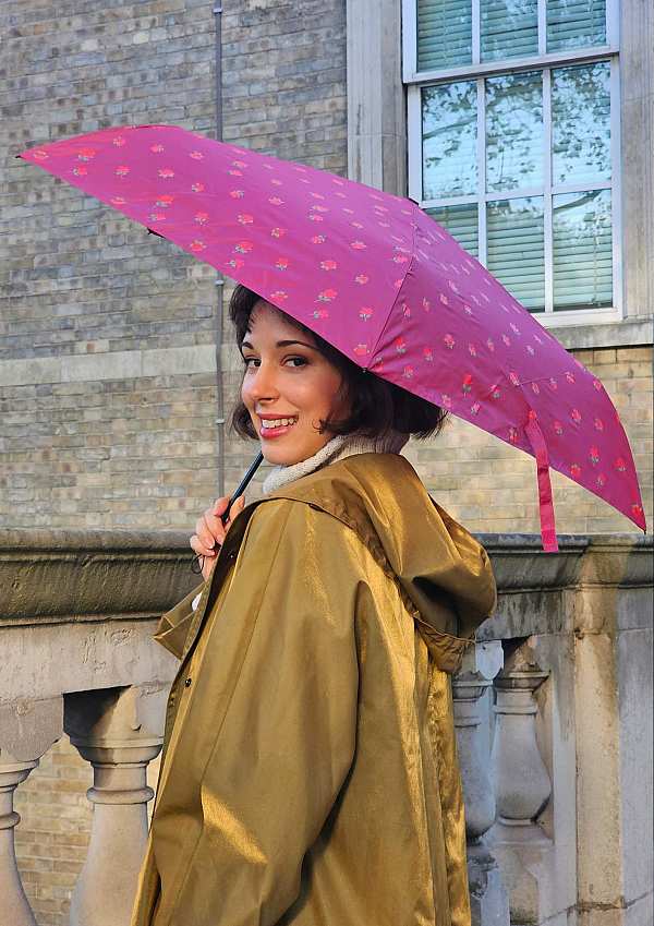Fulton Umbrellas Span Class="mob-item-title">Aerolite 2 - Rose Bud