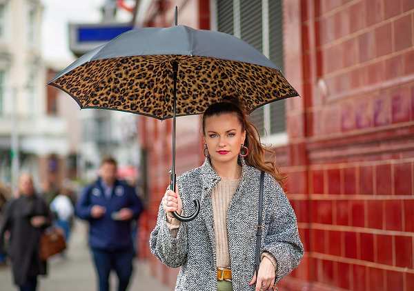 Fulton Umbrellas Span Class="mob-item-title">Bloomsbury 2 - Lynx