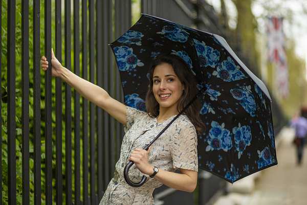 Fulton Umbrellas Span Class="mob-item-title">Bloomsbury 2 - Night Sky Flowers