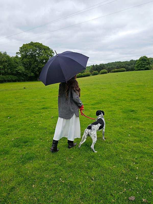 Fulton Umbrellas Span Class="mob-item-title">Hampstead - Black