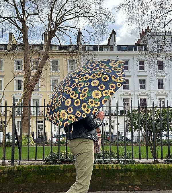 Fulton Umbrellas Span Class="mob-item-title">Minilite 2 - Sunflower
