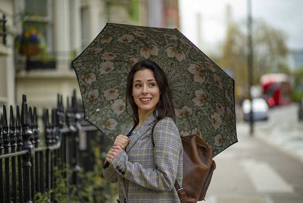 Fulton Umbrellas Span Class="mob-item-title">Morris & Co. Bloomsbury 2 - Pimpernel Bayleaf Manilla