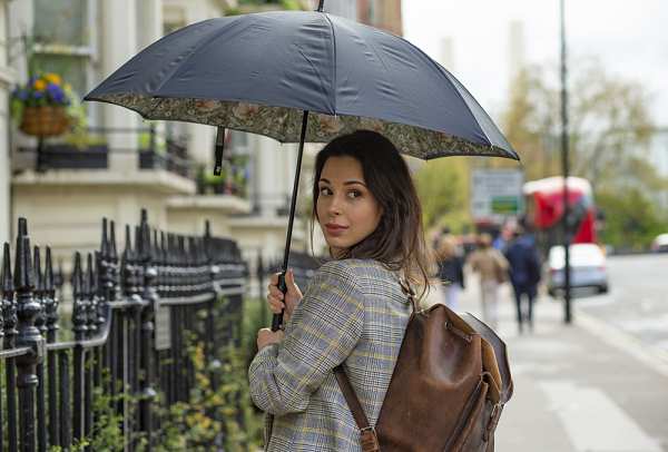 Fulton Umbrellas Span Class="mob-item-title">Morris & Co. Bloomsbury 2 - Pimpernel Bayleaf Manilla