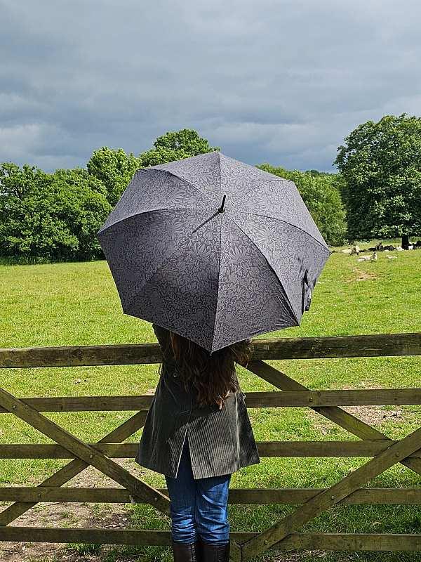 Fulton Umbrellas Span Class="mob-item-title">Morris & Co Hampstead 2 - Strawberry Thief Graphite