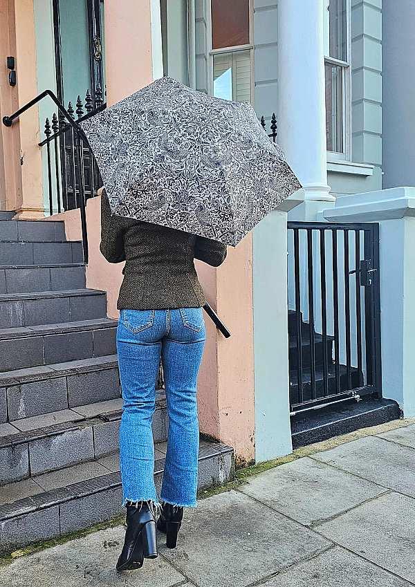 Fulton Umbrellas Span Class="mob-item-title">Morris & Co. Tiny UV - Strawberry Thief Pure