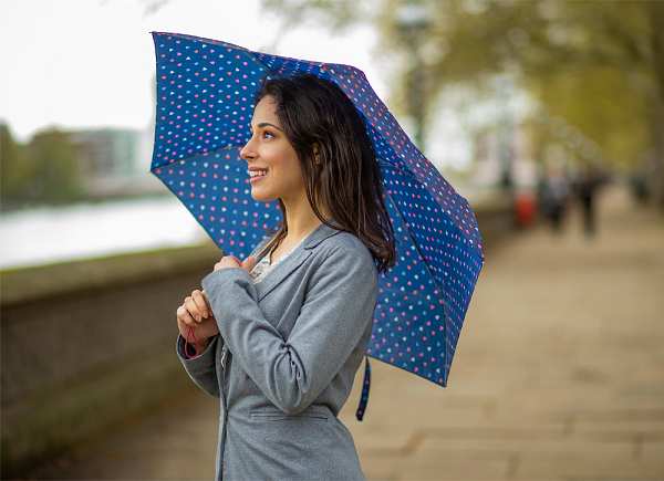 Fulton Umbrellas Span Class="mob-item-title">Superslim 2 - Ditsy Hearts