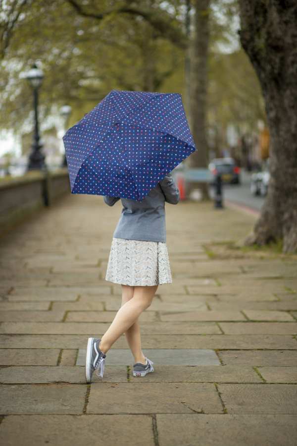 Fulton Umbrellas Span Class="mob-item-title">Superslim 2 - Ditsy Hearts