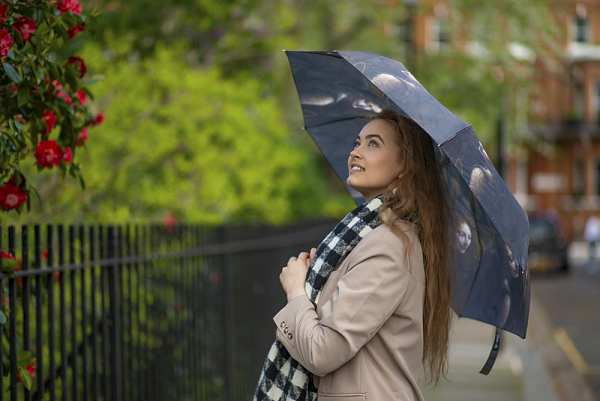 Fulton Umbrellas Span Class="mob-item-title">The National Gallery Minilite 2 - Angel From The Virgin Of The Rock