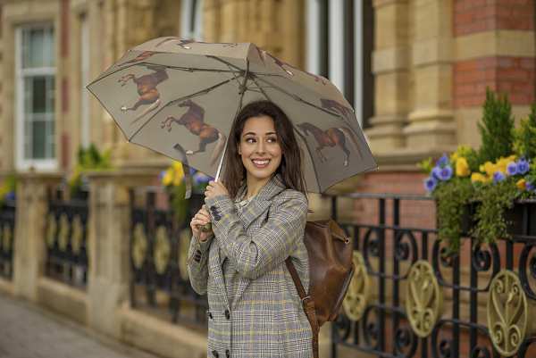 Fulton Umbrellas Span Class="mob-item-title">The National Gallery Minilite 2 - Stubbs Whistlejacket