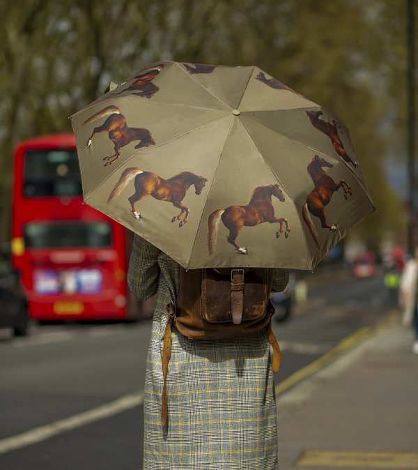 Fulton Umbrellas Span Class="mob-item-title">The National Gallery Minilite 2 - Stubbs Whistlejacket