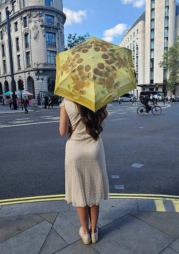 Fulton Umbrellas Span Class="mob-item-title">The National Gallery Tiny 2 - Sunflowers