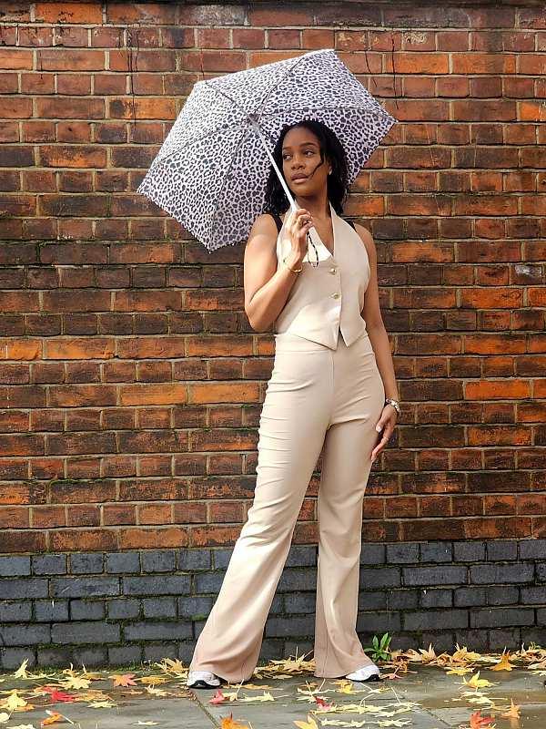 Fulton Umbrellas Span Class="mob-item-title">Tiny 2 - Classic Leopard