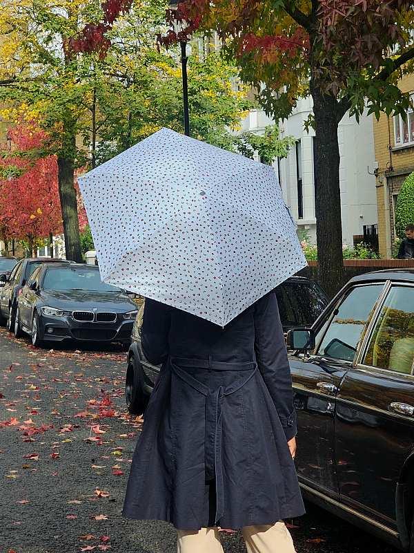 Fulton Umbrellas Span Class="mob-item-title">Tiny 2 - Ditsy Leopard