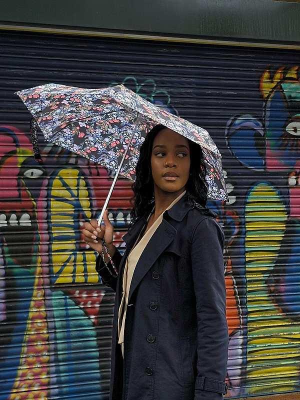 Fulton Umbrellas Span Class="mob-item-title">Tiny 2 - Meadow Fields