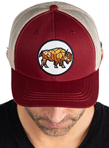 Funky Junque Buffalo Geometric Mesh Trucker Hat By Funky Junque