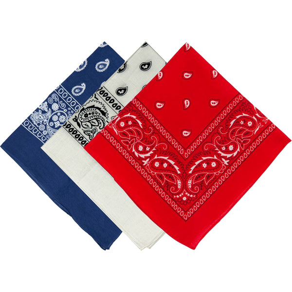 funky junque Funky Junque Paisley Cotton Bandanas