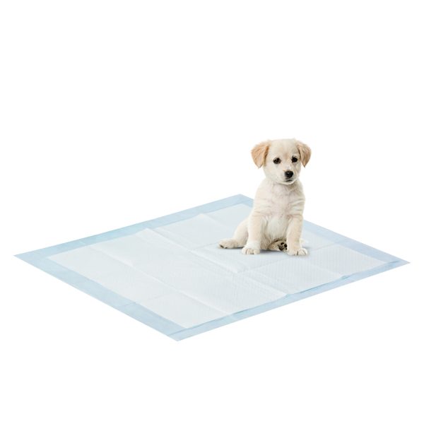Furinno Furinno Pet Training Pads Large 50-Count