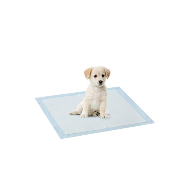 Furinno Furinno Pet Training Pads Regular 100-Count
