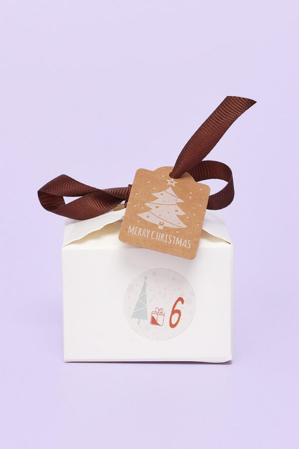 G Decor Cute Parcels Coudown Advent Calendar