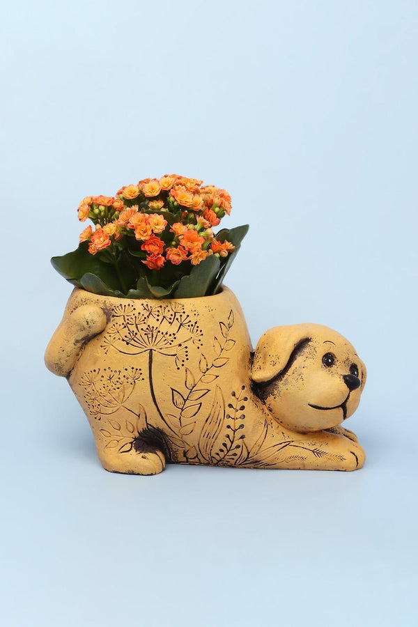 G Decor Yellow Dog Cement Planter Yellow