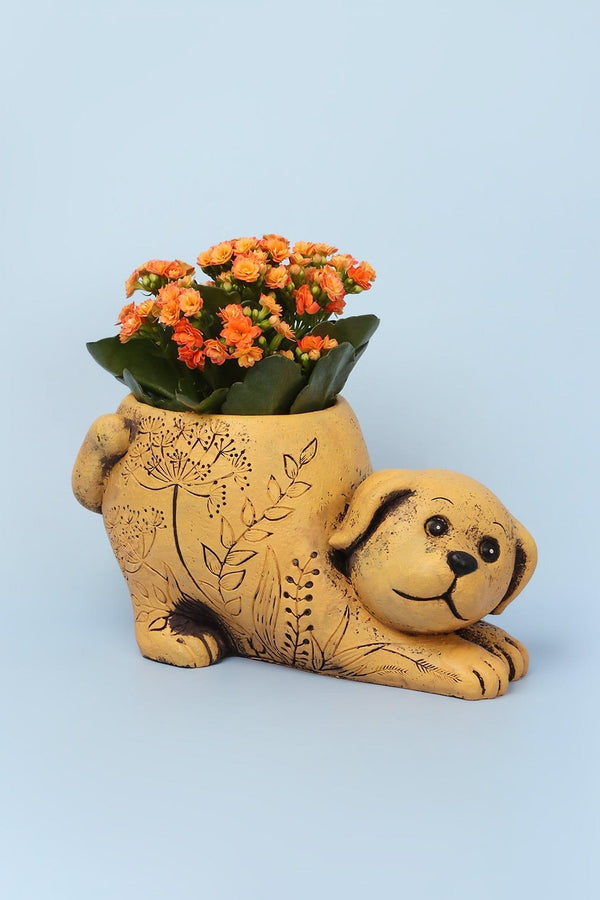 g decor Yellow Dog Cement Planter Yellow