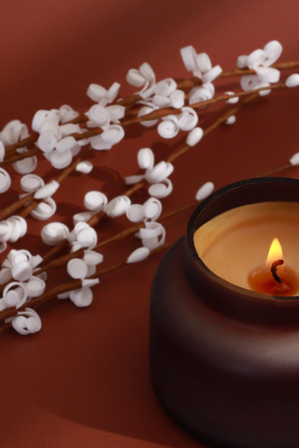 G Decor Rasa Nocturne Musk Scented Candle In Frosted Black Glass Black