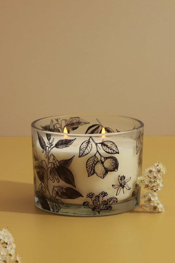 G Decor Scented Sicily Sandalwood Lime And Basil Soy Perfect For Meditation Large Jar