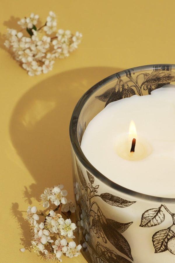 G Decor Scented Sicily Sandalwood Lime And Basil Soy Perfect For Meditation Large Jar