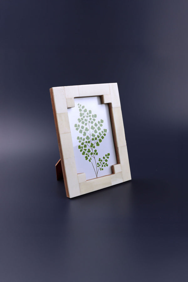 G Decor Tectura Handcrafted Horn Bone Photo Frame Architectural Cream Tones Picture Display Small