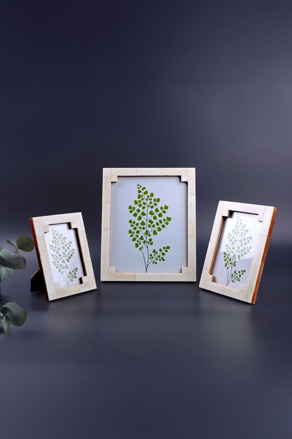 g decor Tectura Handcrafted Horn Bone Photo Frame Architectural Cream Tones Picture Display Small