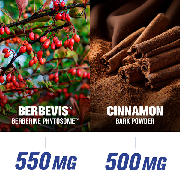 g.a.t. Nitraflex Pro Berberine