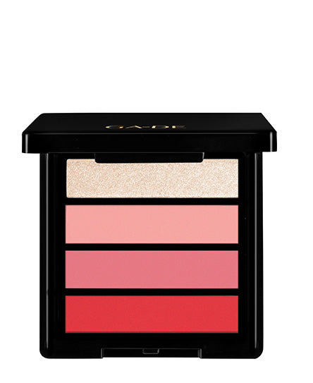 ga de BLUSH & HIGHLIGHTER PALETTE