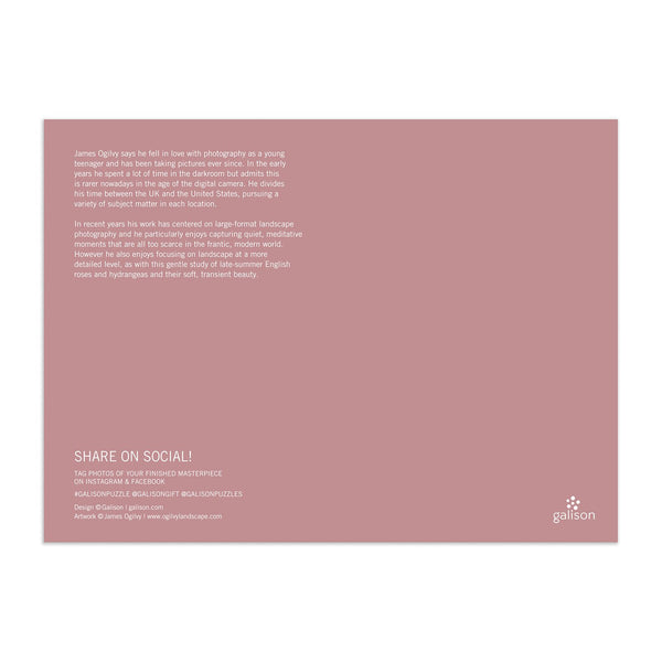 Galison English Roses 1000 Piece Jigsaw Puzzle