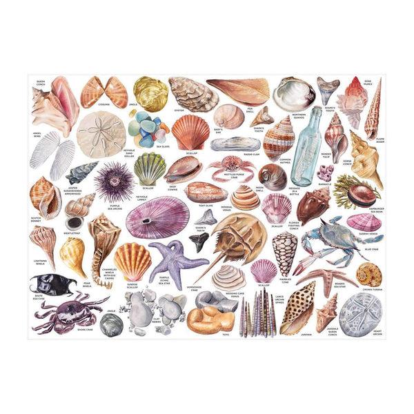 Galison The Beachcomber's Companion 1000 Piece Jigsaw Puzzle With Shaped Pieces